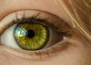 Šta predstavlja vizuelni menadžment