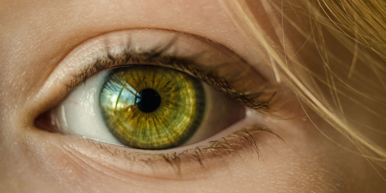 Šta predstavlja vizuelni menadžment