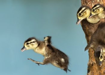 Zašto ohrabrujem svoje najbolje zaposlenike da razmisle o prihvatanju ponuda za drugi posao?