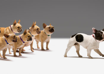 Kako da prestanete brinuti o tome šta drugi ljudi misle o vama