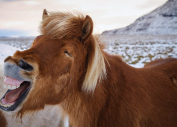 Prednosti smijanja u kancelariji