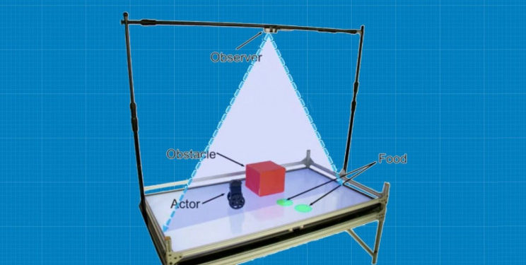 Robot šokirao inženjere pokazujući znakove empatije