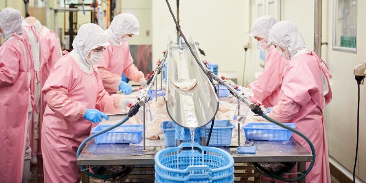 Toyota-in proizvodni sistem čini smrznute ribe svježijim