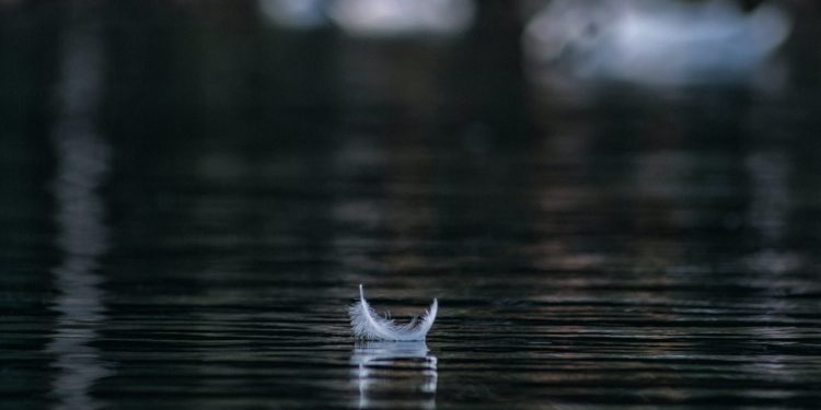 HBR: Što ste više zauzeti, više vam treba vremena za odmor