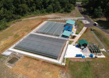 Tržište algi potencijalno vrijedno 320 milijardi dolara privlači Hondu, Eneos