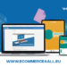 PRVA REGIONALNA WEB PLATFORMA ZA E-TRGOVINU