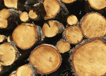 Ratna magla zamagljuje posljedice