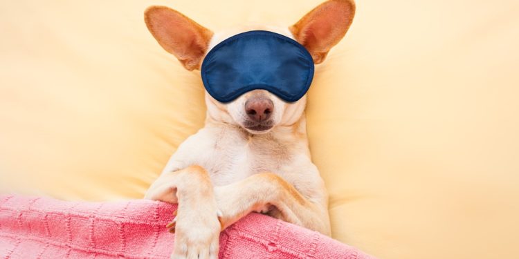 Preformulišite vaše mišljenje o brizi o sebi