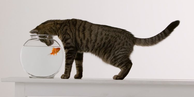 Menadžeri, prestanite da ometate svoje zaposlenike