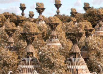 Safari odmaralište će proizvoditi vodu iz zraka pomoću providnih solarnih uređaja