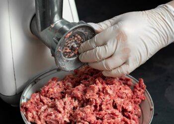 Skandal s konjskim mesom: Trebamo li još biti zabrinuti?