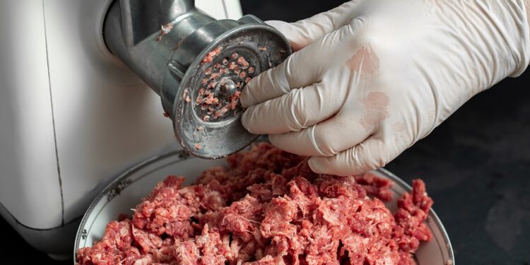 Skandal s konjskim mesom: Trebamo li još biti zabrinuti?