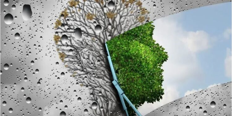 Preokret starenja u crijevima: Nova studija otkriva obećavajuće nalaze