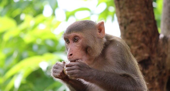 Oblikuje li nas ono što jedemo?