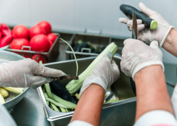 Sjeme uspjeha: Kako uzgajati jaku prehrambenu industriju