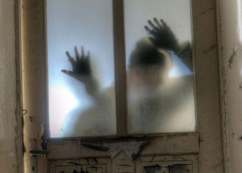 Pet članaka o liderstvu koje biste trebali pročitati u 2025