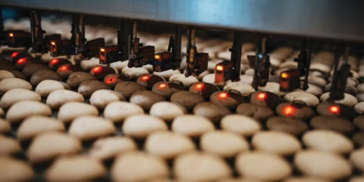 Tehnologija senzora: Do bolje dosljednosti, kvaliteta i sigurnosti u industriji