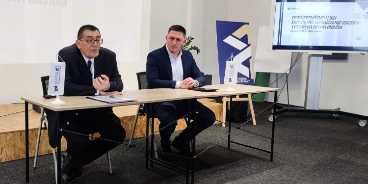 Poduzetništvo u BiH: Empirijsko istraživanje izazova i potreba novih biznisa