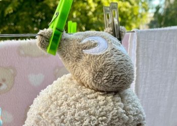 Osvježi Dragoljuba!