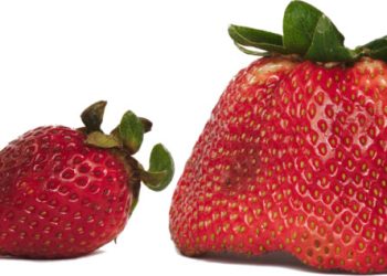 Različiti problemi traže različite načine rješavanja