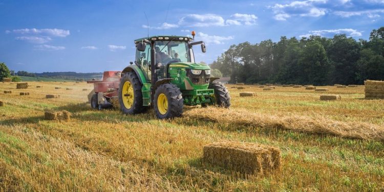 Agro: globalni paradoks