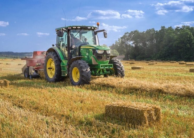 Agro: globalni paradoks